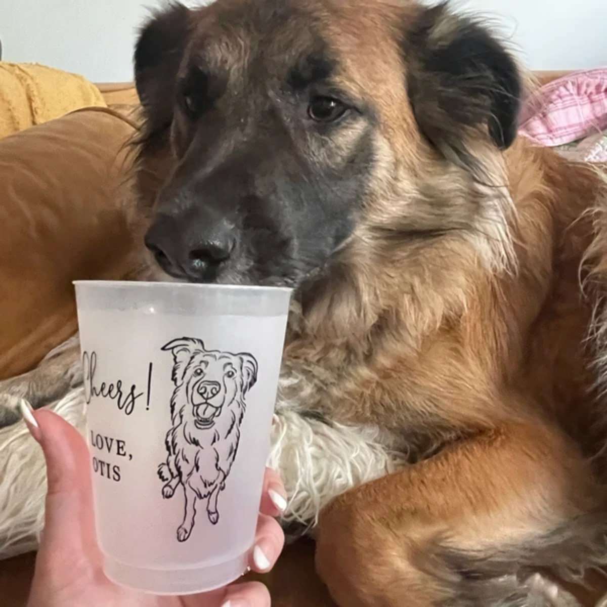 10/50 Personalized Senior Phot - огляд і ціна Plastic Cup 50Pcs